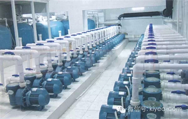 伊缅园xyz视频人入口