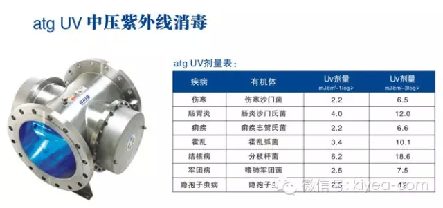 伊缅园xyz视频人入口