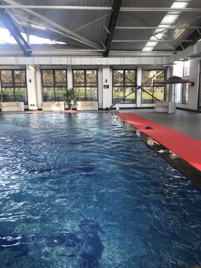 伊缅园xyz视频人入口